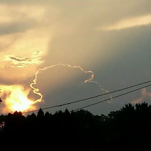 Meet your Posher, Ardis